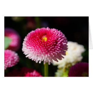 Der Frühling hat Frühling!