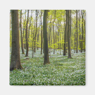 Der Frühling im Leben Magnet