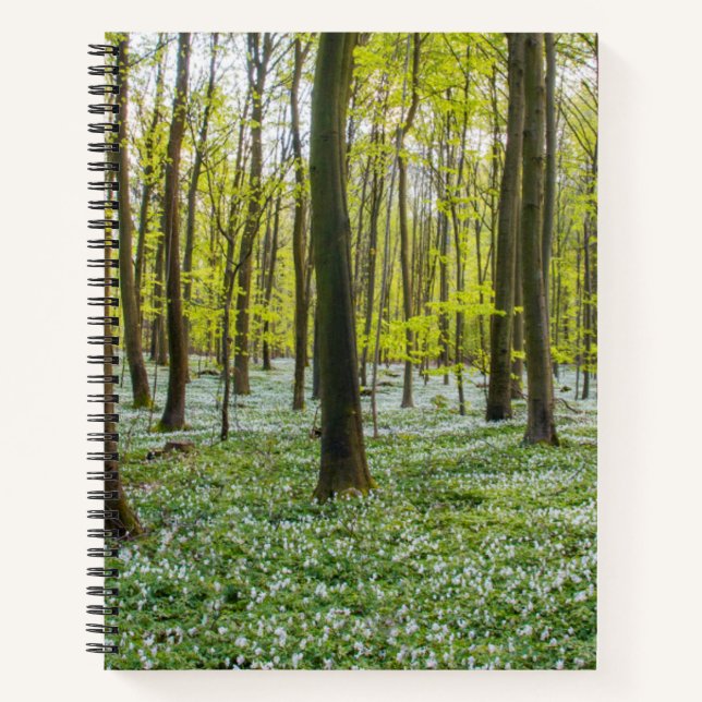 Der Frühling im Leben Notizbuch (Vorderseite)