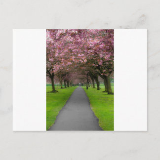 Der Frühling im Park Postkarte