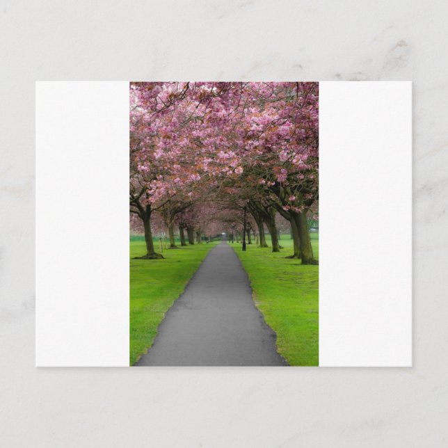 Der Frühling im Park Postkarte (Vorderseite)