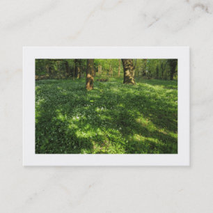 Der Frühling im Wald (grenzt) Visitenkarte