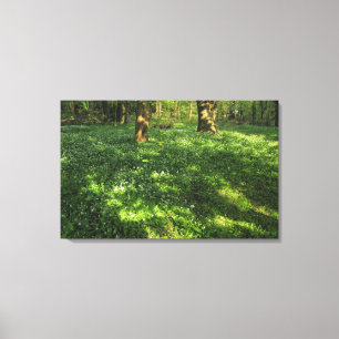 Der Frühling im Wald Leinwanddruck