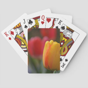 Der Frühling in Farben Spielkarten