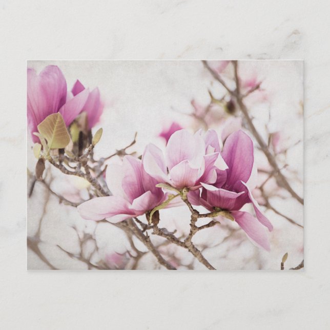 Der Frühling ist in der Luft Postkarte (Vorderseite)