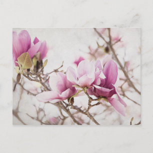 Der Frühling ist in der Luft Postkarte