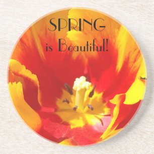 Der Frühling ist schön! Drinks Bänke Florale Tulip Getränkeuntersetzer