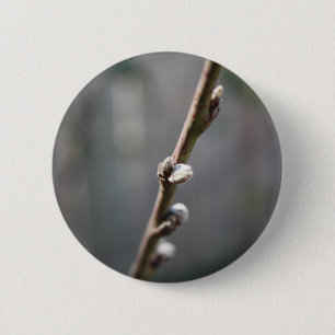 Der Frühling kommt Button