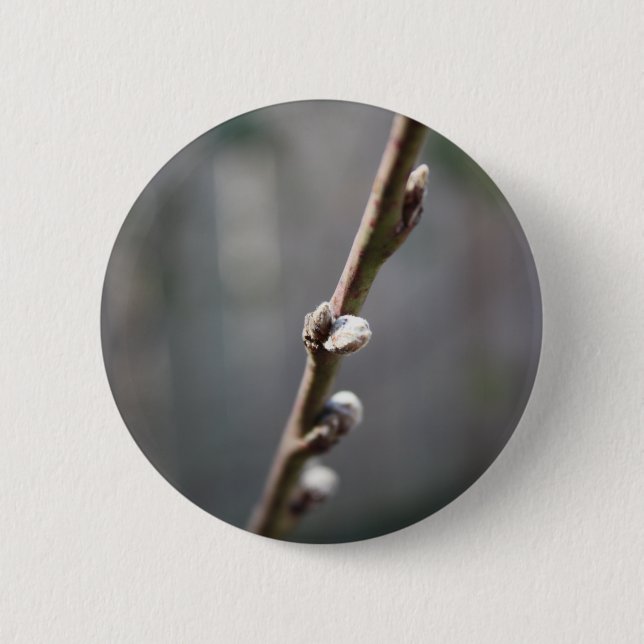 Der Frühling kommt Button (Vorderseite)