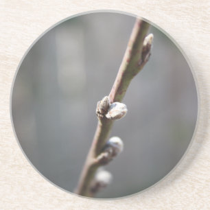 Der Frühling kommt Getränkeuntersetzer