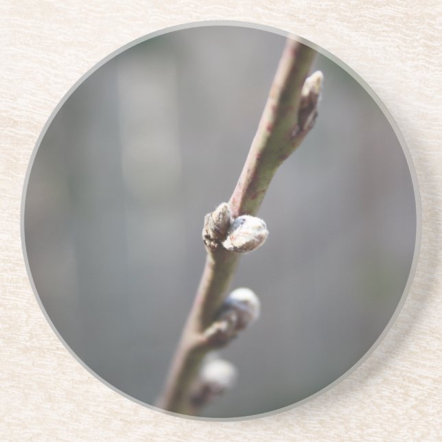Der Frühling kommt Getränkeuntersetzer (Vorne)