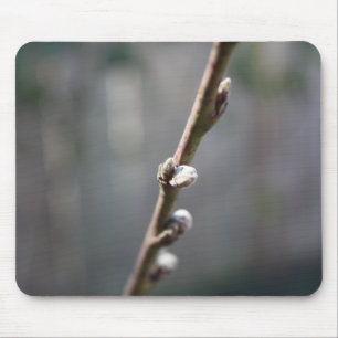 Der Frühling kommt Mousepad