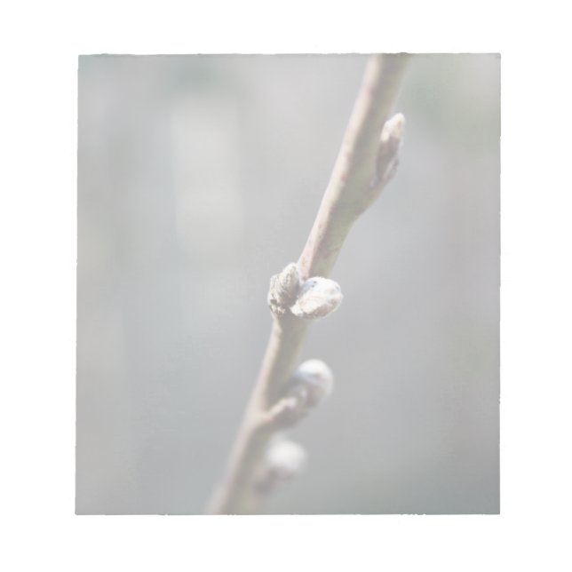 Der Frühling kommt Notizblock (Vorderseite)