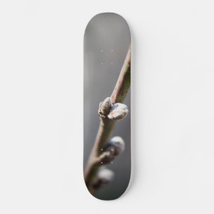 Der Frühling kommt Skateboard