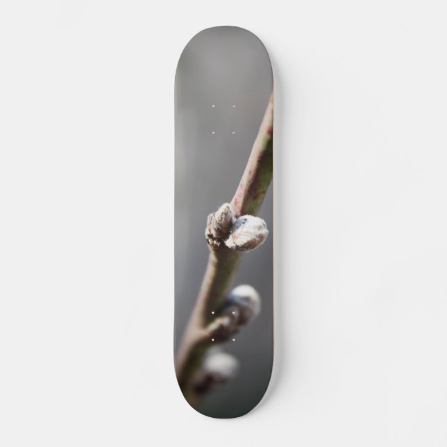 Der Frühling kommt Skateboard (Vorderseite)