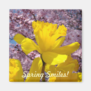 Der Frühling lächelt! Magnete Gelbe Daffodische Bl