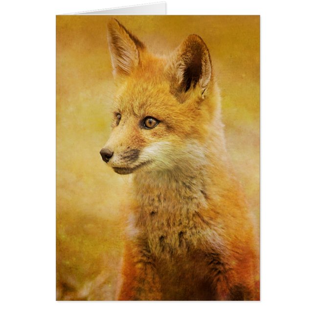 Der Fuchs im Wald (Vorne)