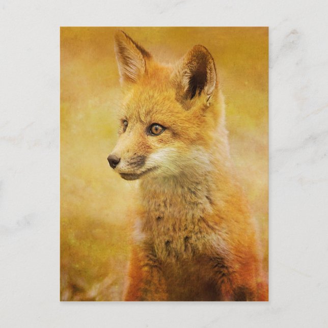 Der Fuchs im Wald Postkarte (Vorderseite)