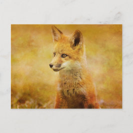 Der Fuchs im Wald Postkarte