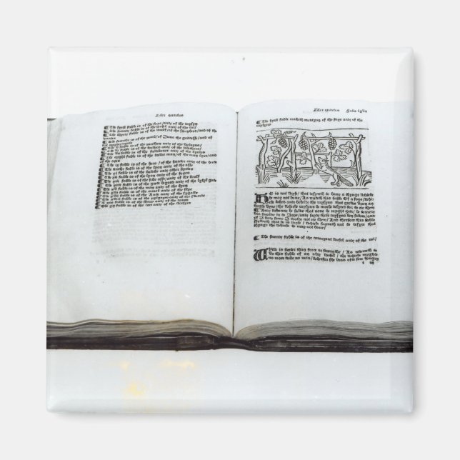 Der Fuchs und die Trauben Magnet (Vorne)