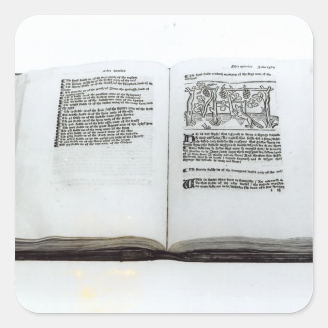 Der Fuchs und die Trauben Quadratischer Aufkleber (Vorderseite)