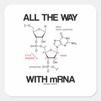 Der ganze Weg mit mRNA-Messenger-RNA molekulare Bi Quadratischer Aufkleber