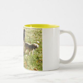 Der ganzer Hundsept. 2006 001 Zweifarbige Tasse