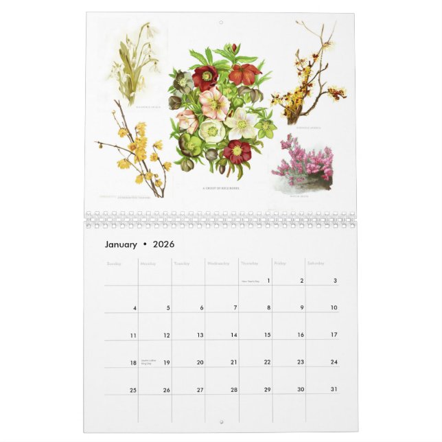 Der Garten 2015 Kalender (Jan 2026)