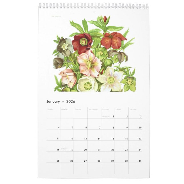 Der Garten 2015 Kalender (Jan 2026)