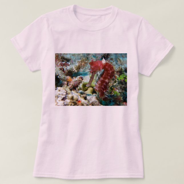 Der Garten des Seepferds T-Shirt (Design vorne)