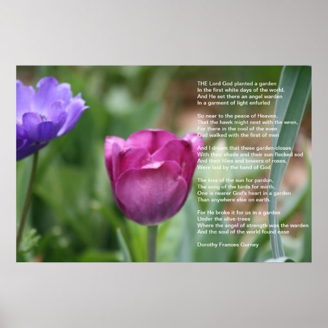 Der Garten Gottes Poster (Vorne)