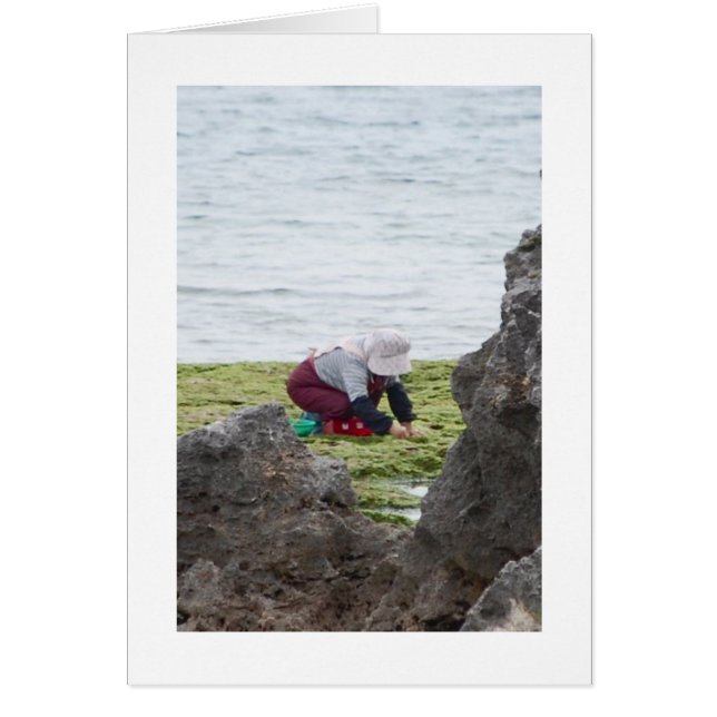 Der Gatherer (Vorne)