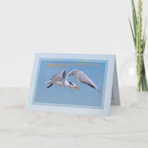Der Geburtstag des Schwiegersohns bei Royal Tern B Karte