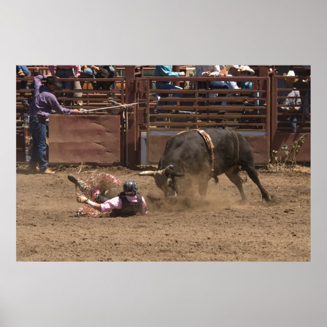 Der gefallene Reiter ist dabei, seinem wütenden Re Poster (Vorne)