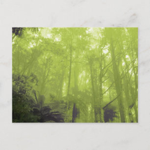 "Der Geist in den Bäumen" Foto Postkarte