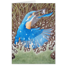 Der gemeine Eisvogel
