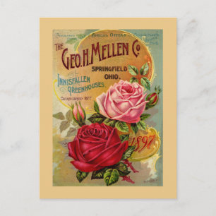 Der Geo. H. Mellen Co. Greenhouse-Werbung Postkarte