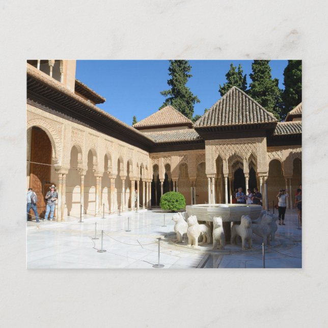 Der Gerichtshof für die Postkarte von Lions (Vorderseite)