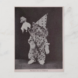 Der Gerichtshof von Tabbyland Postkarte