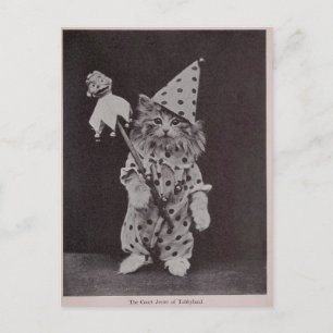 Der Gerichtshof von Tabbyland Postkarte