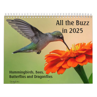 Der gesamte Kalender von Buzz 2025