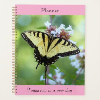 Der Giant Swallowtail Planer