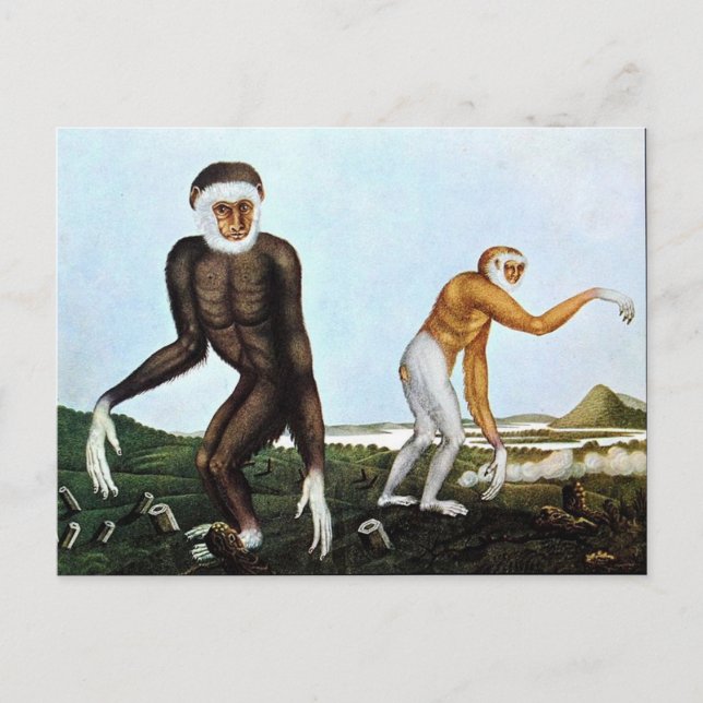 Der Gibbon oder The Gibbon (1833) Postkarte (Vorderseite)