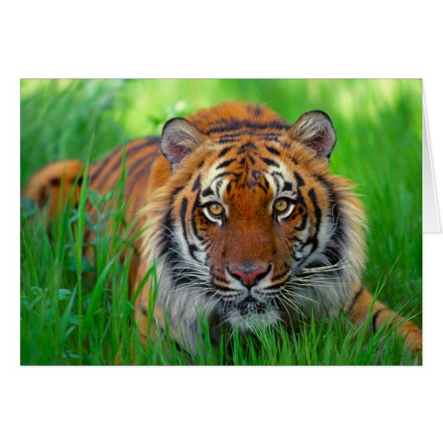 Der glückliche Vatertag (Vorderseite (Horizontal))