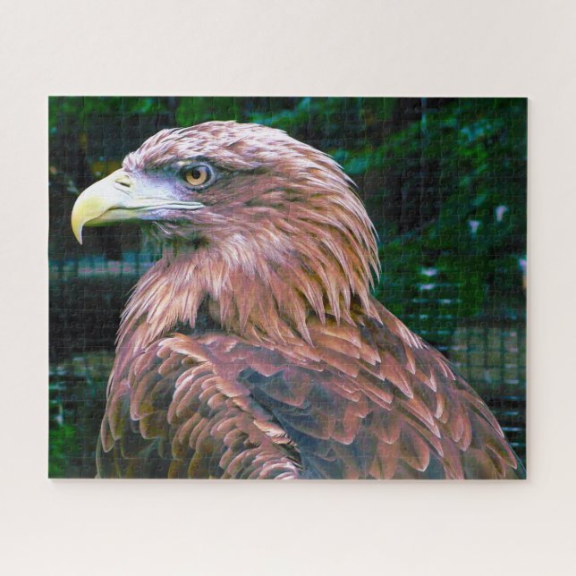 Der goldene Adlervogel der Beute. Jigsaw Puzzle (Horizontal)