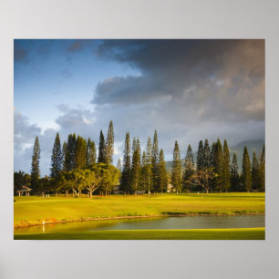 Der Golfplatz von Makai in Princeville Poster
