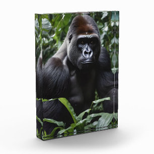 Der Gorilla-König in Mitternacht: Der Monarch des Fotoblock