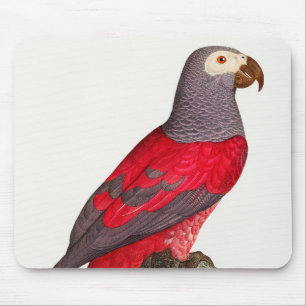 Der graue rote Papagei, Psittacus erithacus Mousepad