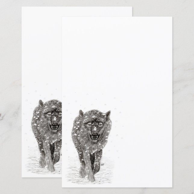 Der graue Schwarze Wolf im Schnee , der wilde Wint (Vorne/Hinten)