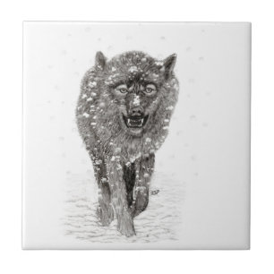 Der graue Schwarze Wolf im Schnee , der wilde Wint Fliese